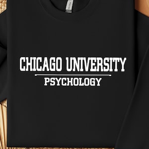Custom University Sweatshirt, Custom College Letters Sweater, University Sweatshirt, University College Sweatshirt Gift,A2507066