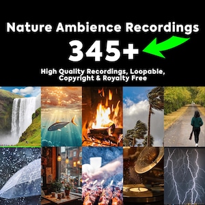 345+ Nature Ambience Recordings | Rain, Ocean, Fire, Animals & More | High-Quality WAV | Loopable