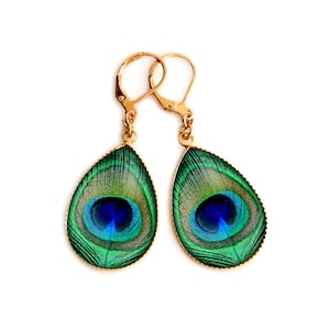 Könnte beinhalten: Ein Paar goldene Ohrhänger mit Pfauenfeder-Designs. Die Ohrringe sind tropfenförmig und zeigen ein grünes, blaues und schwarzes Pfauenfeder-Muster.