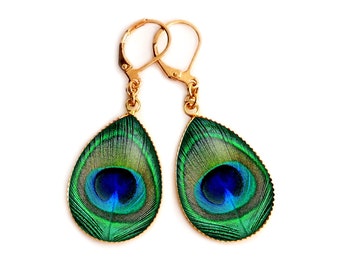 Pendant earrings, feather, peacock, green, woman, gold, silver, stainless steel, glass
