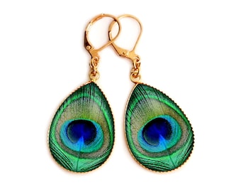 Pendant earrings, feather, peacock, green, woman, gold, silver, stainless steel, glass