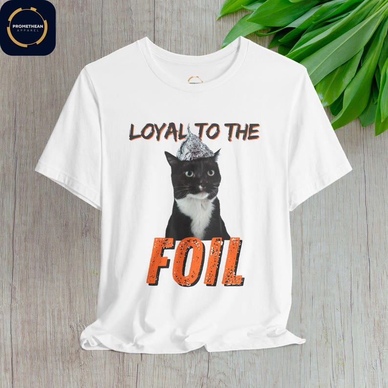 Maglietta unisex con gatto e cappello di carta stagnola: divertente teoria del complotto immagine 5