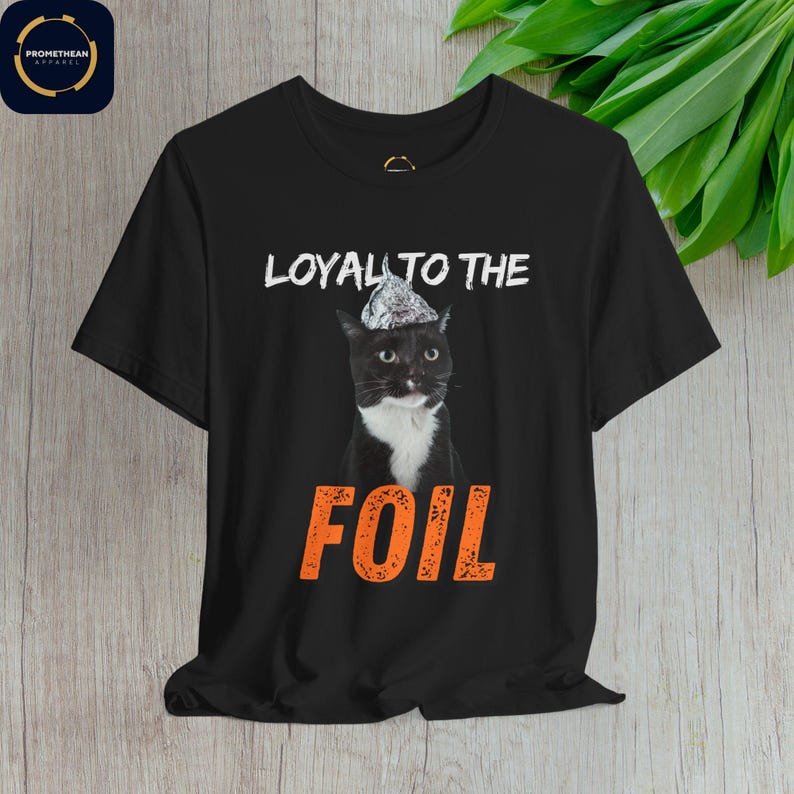 Maglietta unisex con gatto e cappello di carta stagnola: divertente teoria del complotto immagine 8