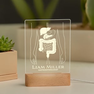 Night light for a gastroenterologist with a digestive system, a gift for a doctor and a decoration for his office. Night light for doctors