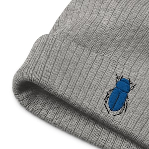 Puede incluir: Gorro de punto gris con un diseño de escarabajo bordado en azul.