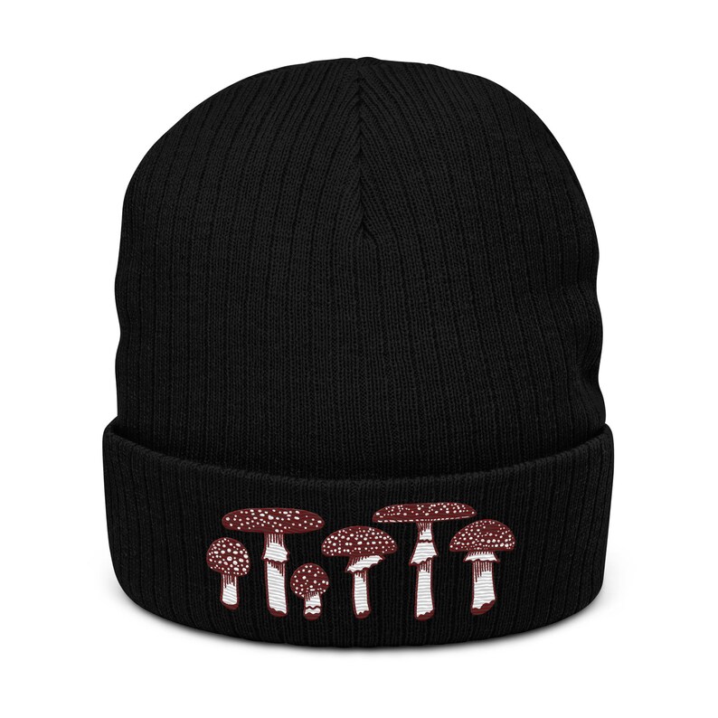May include: Black knit beanie with a white and red embroidered design of mushrooms.