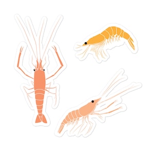 Shrimps Vinyl Aufkleber 3er Set, niedliche Krebstier-Aufkleber, Meeresfrucht-Aufkleber, niedliche Shrimps-Aufkleber, nautische Aufkleber, Sommer-Aufkleber
