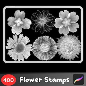 400+ Procreate Flower Stamps ,Floral brushes , Procreate brushset, Flower stamp Line Art Floral Elements bundle