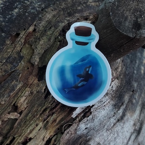Orca in a Bottle Vinyl Sticker