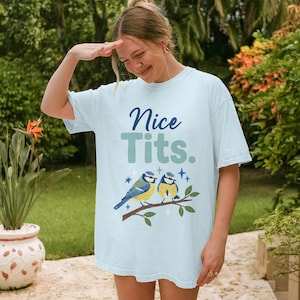 May include: Light blue t-shirt with the text "Nice Tits." and an illustration of two blue and yellow birds perched on a branch. The shirt is a casual, unisex style.