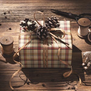 A gift wrapped in a plaid paper with pine cones and a small toy horse on a wooden table.
