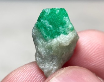 6.10ct | Natural Pretty Emerald Crystal w/Matrix Specimen | Swat, Pakistan Gift, Healing, Collector