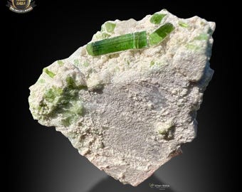 102GM | Natural Green Tourmaline Crystal Cluster Quartz Specimen | Afghanistan Collector Grade, Gift.