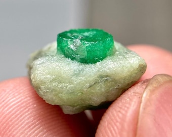 11ct | Terminated Emerald Crystal In Matrix Specimen | Swat Mine Pakistan, Gift Collector