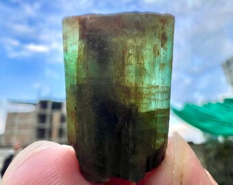 48ct | Natural Emerald Crystal Rough Terminated Specimen | Chitral, Pakistan Collector Grade