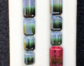 15.60ct | Natural Tri-Color Tourmaline Lot - Afghanistan - Faceted Loose Gems