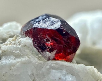Terminated Red Garnet Crystal on Mica Matrix Specimen | Skardu Pakistan Collector Piece