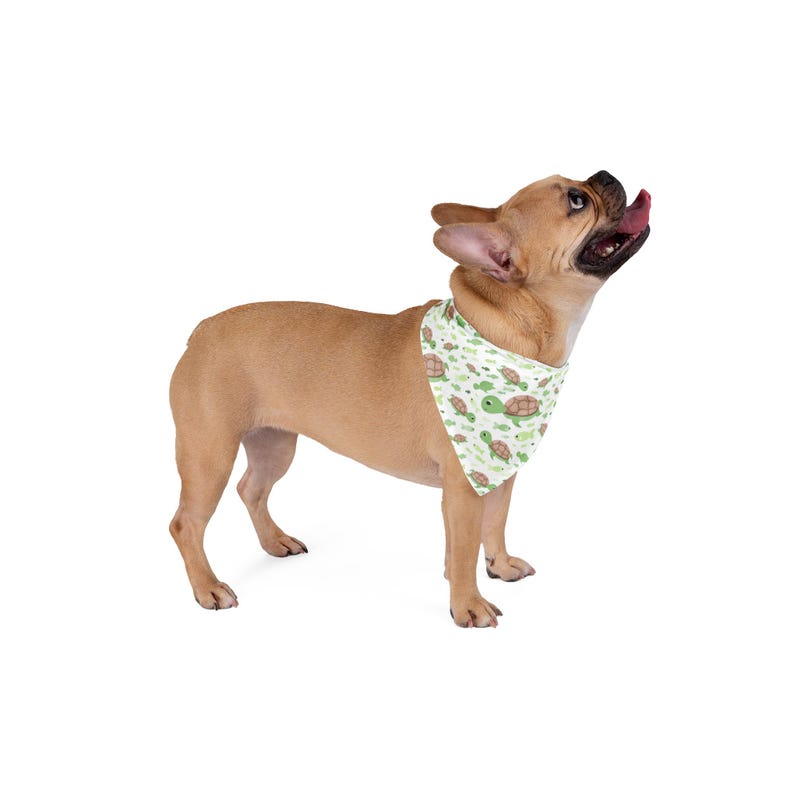 Pañuelo reversible para perro con estampado de tortuga: accesorio de verano imagen 2