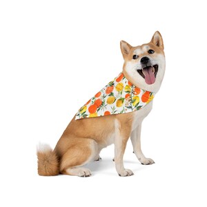 Oranges Dog Bandana: Summer Fruit Tie-On Scarf