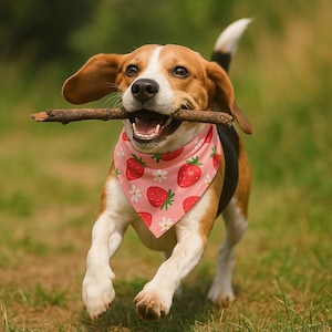 Strawberry Pet Bandana, Cute Dog Accessory for Summer Pet Birthday Present Dog Bandana for Gift Floral Pet Style dog birthday spring dog mom