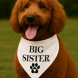 ビッグシスタードッグバンダナ妊娠発表、妊娠した犬のバンダナに付ける赤ちゃんの発表ビッグシスター妊娠写真小道具犬ビッグシスター