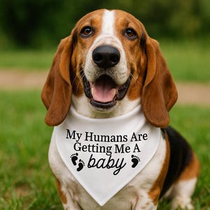 White Pet Bandana My Humans Are Getting Me A Baby Dog Bandana Dog Accessory Dog Mom Gift Pregnancy Announcement Pregnancy Photo Shoot Baby