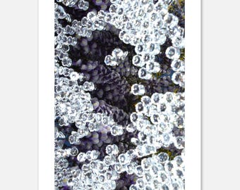 Crystal Wisteria  — Abstract Wall Art