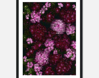Floral Ripple Art Print – Magenta Blossoms, Wooden Framed Poster (12x16″)