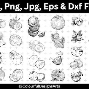 May include: Black and white illustrations of coconuts in various forms, including whole, halved, and prepared as drinks. The image includes the text "Svg, Png, Jpg, Eps & Dxf Files" and the @ColourfulDesignsArts watermark.
