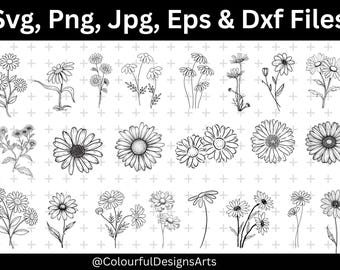 Daisy Flower Clipart, Daisy SVG Bundle, Flower Clipart, Daisy Vector, Silhouette, Svg Cricut Files, Commercial Use, Digital Download