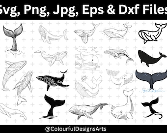 Baleine SVG Bundle, Clipart animaux marins, queue de baleine SVG, Svg de baleine orque, clipart baleine, orque Svg, Ocean Life Svg, téléchargement numérique