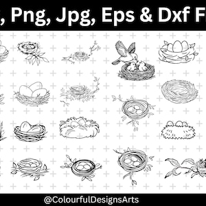 Puede incluir: Ilustraciones en blanco y negro de varios nidos de pájaros, algunos con huevos y pájaros. La imagen incluye el texto "Svg, Png, Jpg, Eps & Dxf Files" en la parte superior y "@ColourfulDesignsArts" en la parte inferior.