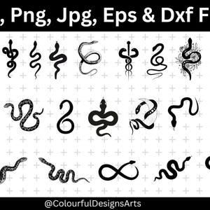 Könnte beinhalten: Schwarz-Weiß-Illustrationen von Schlangen in verschiedenen Posen. Das Bild enthält den Text "Svg, Png, Jpg, Eps & Dxf Files" oben und "@ColourfulDesignsArts" unten. Die Schlangen sind in verschiedenen Stilen dargestellt, einige mit floralen Akzenten.