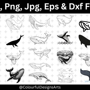 Whale Svg Bundle, Whale Silhouette, Sea Animals Cricut, Orca Whale Svg, Orca Svg, Orca Silhouette, Whale Cut File, Whale Vector