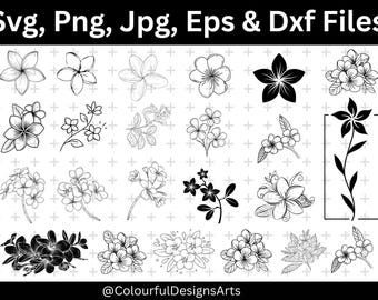 Plumeria Flower Line Art, Plumeria Flower Svg, Plumeria Flower Clipart, Floral Svg, Svg Sublimition, Commercial Use, Instant Download