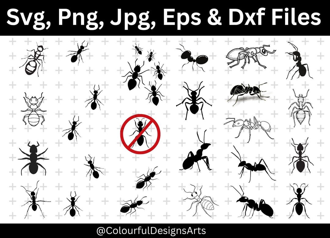 Ant Svg Bundle, Ant Png Bundle, Ant Clipart, Ant Cut Files, Ants Svg ...