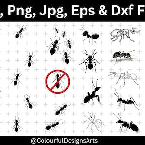 Ant Svg Bundle, Ant Png Bundle, Ant Clipart, Ant Cut Files, Ants Svg, Ant Silhouette, Ant Laser File, Insects Svg, Digital Download
