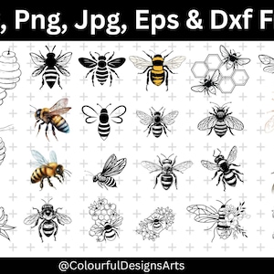 Honey Bee SVG Bundle, Bumblebee Cut Files,Svg for Cricut & Silhouette, Bee SVG Bundle, Cute Honey Bee Clipart, Honey Svg, Honeycomb Svg