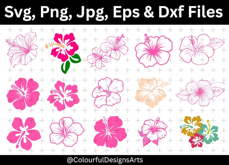 Hibiscus Flower SVG Bundle, Tropical Flower SVG, Hawaiian Clipart ...