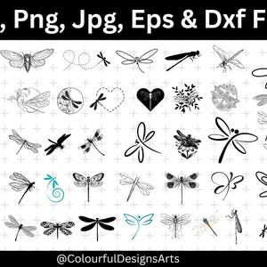 Libelle SVG Bundle, hochwertiges Bundle, Libelle Clipart, transparente PNGs, kostenlose kommerzielle Nutzung, geschnittene Dateien, digitaler Download
