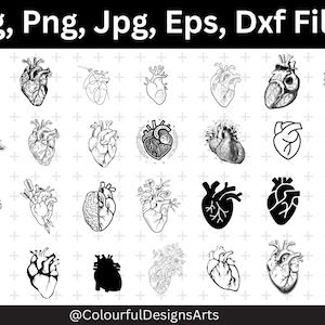 Human Heart Svg, Anatomical Heart Svg Bundle, Heart Svg Bundle, Anatomical Heart Clipart, Flower Heart Svg, Anatomy Svg, Medical Svg