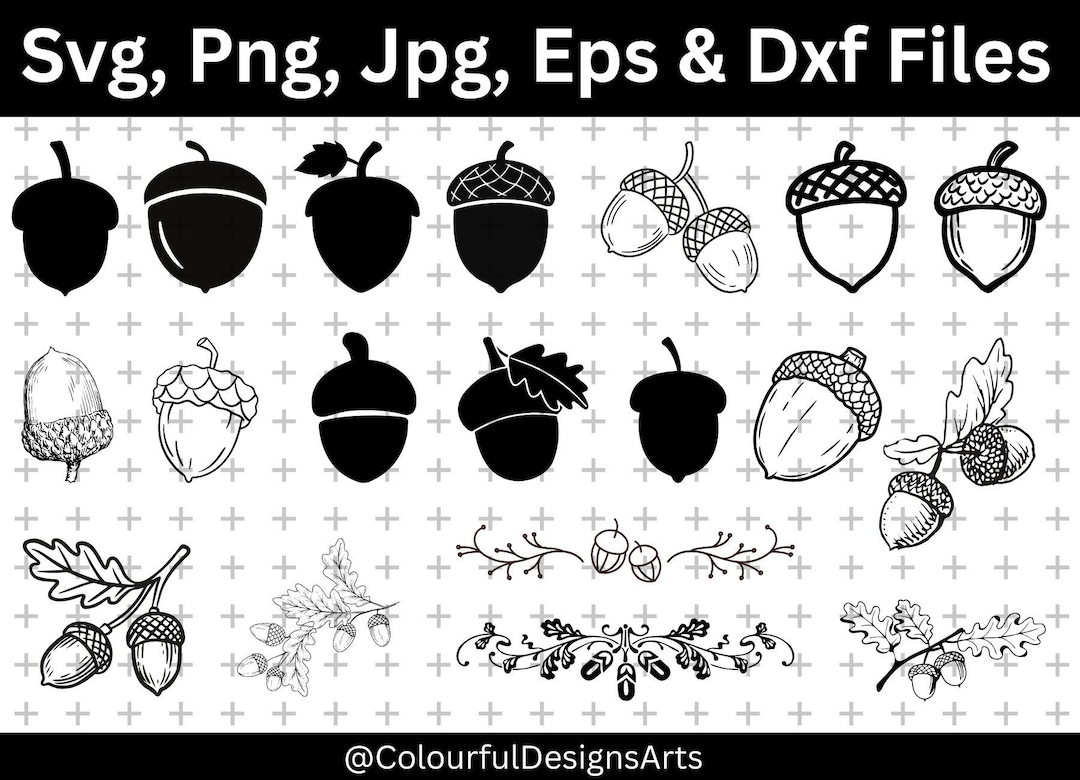 acorn-svg-bundle-hand-drawn-clipart-acorn-png-bundle-oak-leaf-svg