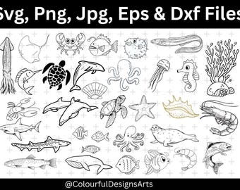 May include: Black and white line art illustrations of various sea creatures, including a squid, stingray, crab, fish, pufferfish, eel, coral, lobster, shark, and more. The text "Svg, Png, Jpg, Eps & Dxf Files" is at the top.