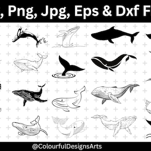 Whale SVG Bundle, Ocean Svg, Sea Animal Svg, Whale Clipart, Svg Cut Files, Whale Clipart, Whale Silhouette, Whale Tail Svg, Sea Life Svg