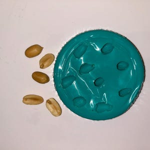 Puede incluir: Un objeto circular de color turquesa con varias hendiduras ovaladas, posiblemente un cuenco para comida de mascotas. Varias cacahuetes peladas están esparcidas alrededor del cuenco sobre una superficie blanca. Los cacahuetes son de color marrón claro y beige.