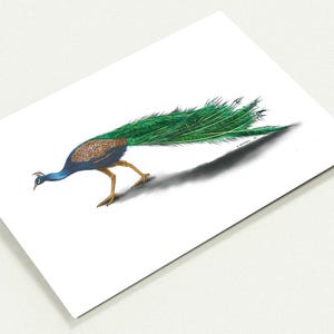 Papelería Peacock: Diez (10) tarjetas de felicitación digitales originales de bellas artes en blanco con sobres premium, tarjetas de cumpleaños, tarjetas de agradecimiento, 5" x 7"