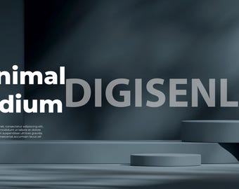 10 3D Spatial Scene Background Mockup Canva Templates - Minimal Stock Photography for Product Display, Design for Jewelry Cosmetics Mug