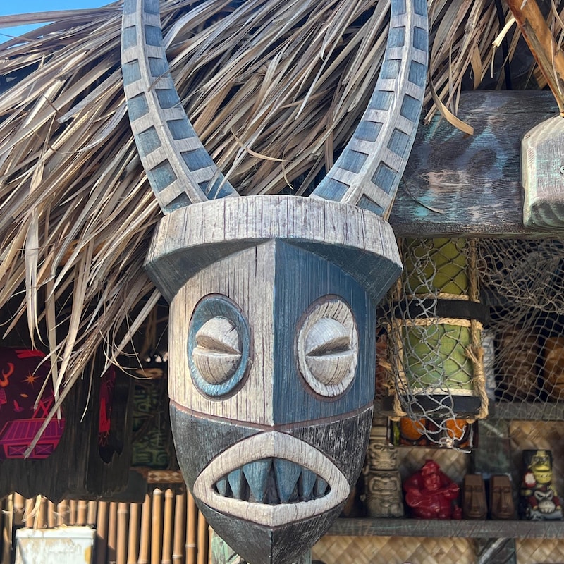 Disneyland's Adventureland Inspired 