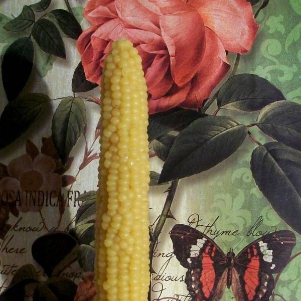 Free USA Shipping Beeswax Corn Taper Candle 8.5 Inches Tall Fits Standard Taper Holder Thanksgiving