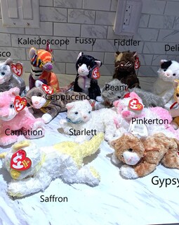 Ty Cat Beanie Babies and Beanie Buddy Prices Vary - Etsy